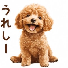 トイプードルのゆるっとアニメーション♪