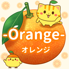 飛び出す♪オレンジの詰め合わせ