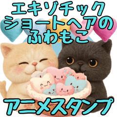 エキゾチックショートヘアのふわもこアニメ