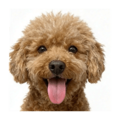 Nanacyan_20251122120352