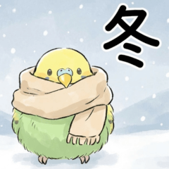 冬のセキセイインコ(緑)【日常・年末年始】