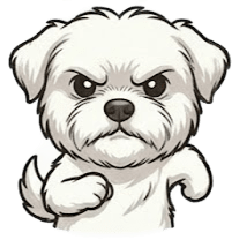 Maltese Nini : Classic Edition