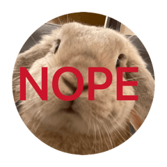 what? what the pineapple