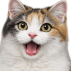 猫だらけ❤️毎日使えるBIGスタンプ