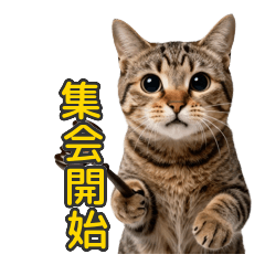 午前3時のキジトラ猫会議