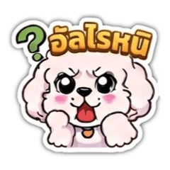 Palioto_20260404102503