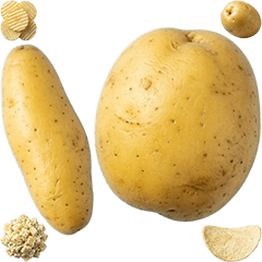 BIG! ジャガイモ　実写