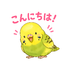 セキセイインコ☆毎日使える挨拶