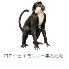 ロロウェイモンキー集合連絡