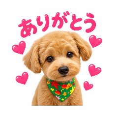 毎日使える☆癒しのぽめぷ〜スタンプ