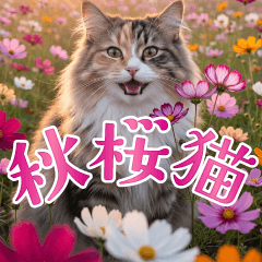 とびだす！毎日使えるコスモスと猫の秋便り