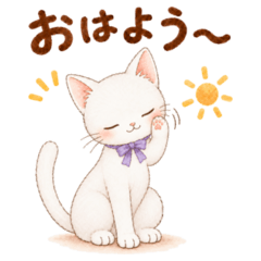 にゃごみ庵〜しらたまの上品な毎日〜