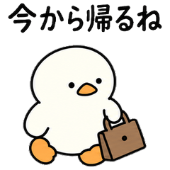 ふたり暮らしのアヒル。夫婦・同棲の連絡