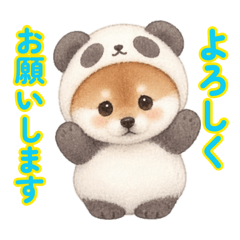 ぱんだ柴♡かわいい日常