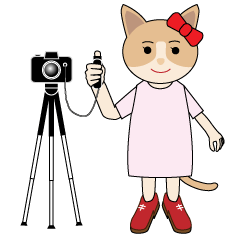 カメラ猫の日常生活