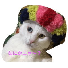 マリーラブ