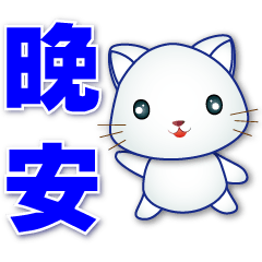 Cute white cat--commonly used-workplace