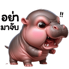 Hippo Chubby cute & fun