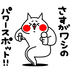 全力ねこ癒し癒され編