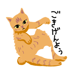 サジーマルシェのココちゃん