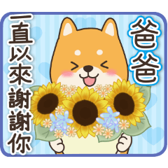 父の日＆メッセージ(台湾版)