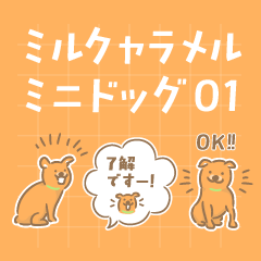 ミルクキャラメルミニドッグ１