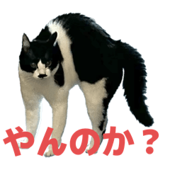 ちょびひげエマ子のおしゃべりスタンプ