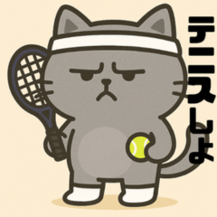 ムスッとグレー猫 テニス