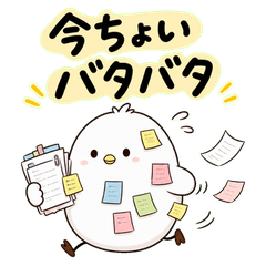 常に忙しい小鳥ちゃん