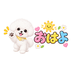 ビションフリーゼの白もこ日常