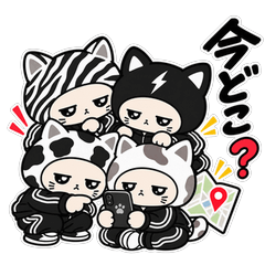 ジト目ねこ軍団のどこ？集合