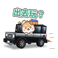 Driver Shiba