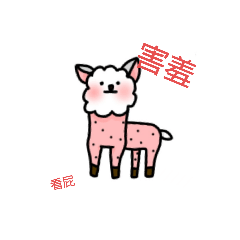 Cusi and Alpaca Lucy