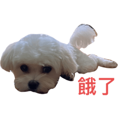 Yujie_20210313211151