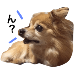 ぶぶのスタンプ