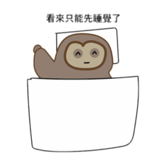 chi chi_20230527224838