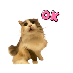 すみれちゃんスタンプが進化しました