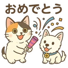 犬のリッキーと猫のソラ&ルナ①