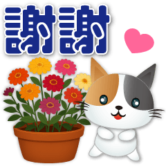 Cute cat -Happy and practical -