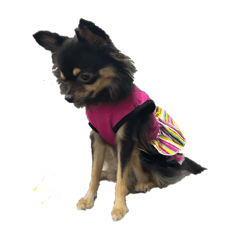 Kaimook_20250705213437