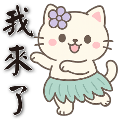 Cute white cat-Daily useful