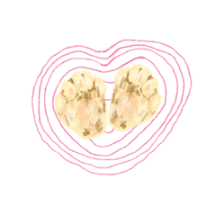 Sweetie bunny ( Christmas ver. )