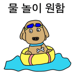 Golden Retriever Cheolminee