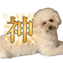 まるまるスタンプ第2弾