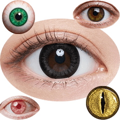 BIG! 眼球・目 実写