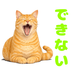 茶トラ猫りんちゃんの感情スタンプ