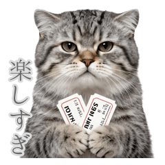 無表情すぎるマヌルネコの初デート