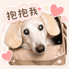 Dachshund Money- life terms1