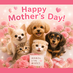 とびだす❀母の日❀犬と猫♡