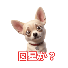 毒舌チワワ先生と仲間たち